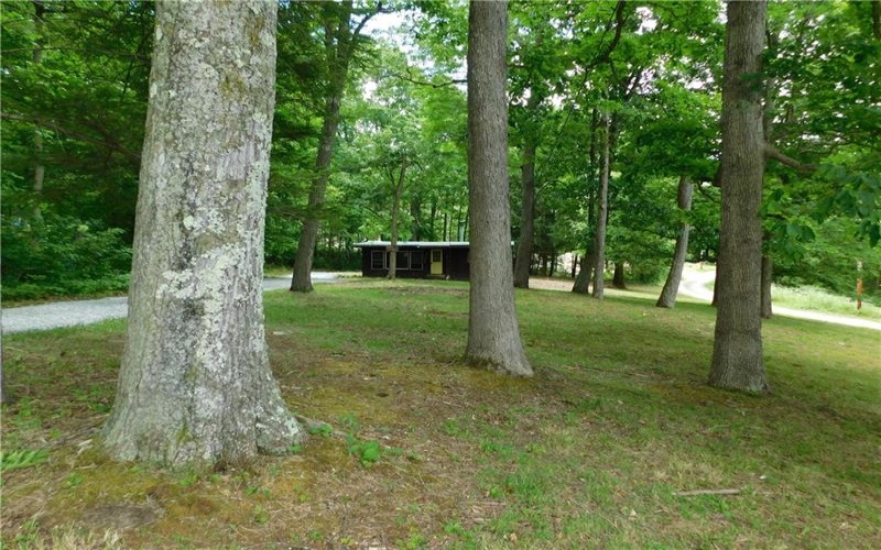 170 Maple Summit Road, Mill Run, 15464, 2 Bedrooms Bedrooms, ,1 BathroomBathrooms,Residential,For Sale,Maple Summit Road,1761065