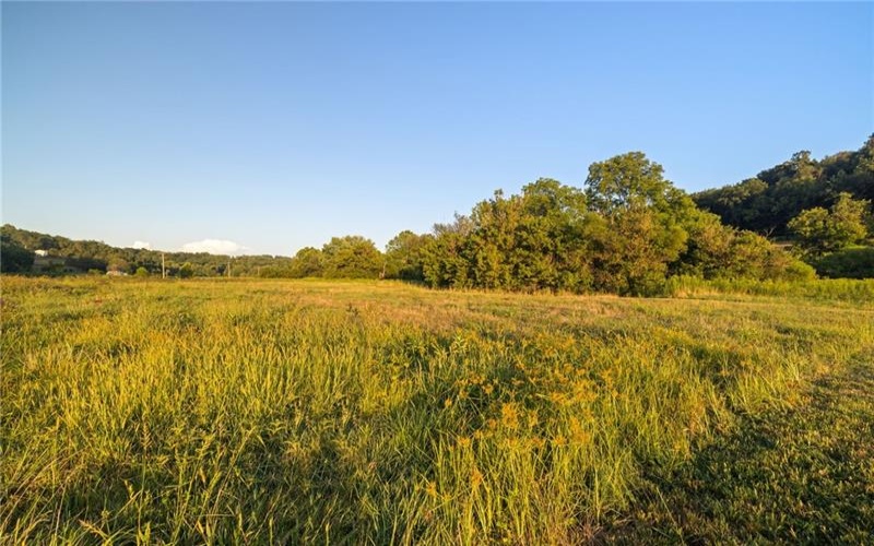 0 Lippencott, Waynesburg, 15370, ,Farm-acreage-lot,For Sale,Horse Barn/Pole Barn/ Silo,Lippencott,1761219