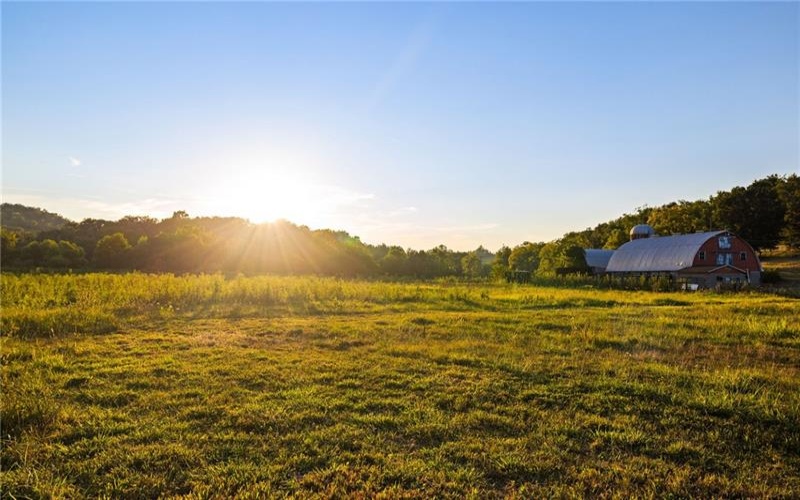 0 Lippencott, Waynesburg, 15370, ,Farm-acreage-lot,For Sale,Horse Barn/Pole Barn/ Silo,Lippencott,1761219