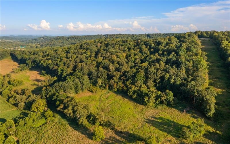 0 Lippencott, Waynesburg, 15370, ,Farm-acreage-lot,For Sale,Horse Barn/Pole Barn/ Silo,Lippencott,1761219