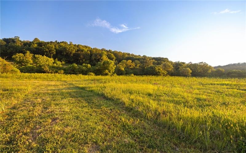 0 Lippencott, Waynesburg, 15370, ,Farm-acreage-lot,For Sale,Horse Barn/Pole Barn/ Silo,Lippencott,1761219
