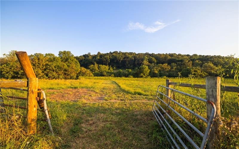 0 Lippencott, Waynesburg, 15370, ,Farm-acreage-lot,For Sale,Horse Barn/Pole Barn/ Silo,Lippencott,1761219
