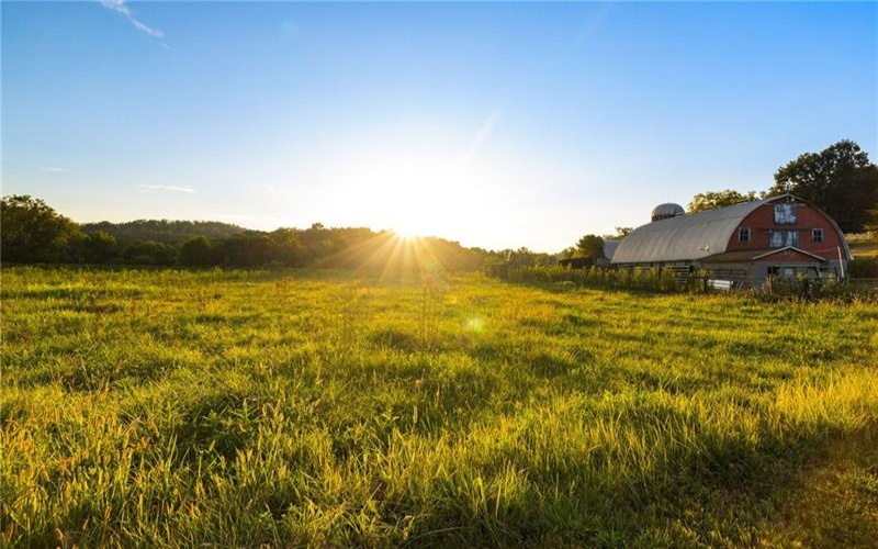 0 Lippencott, Waynesburg, 15370, ,Farm-acreage-lot,For Sale,Horse Barn/Pole Barn/ Silo,Lippencott,1761219