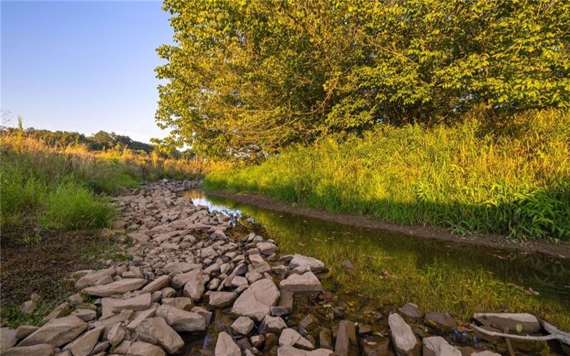 0 Lippencott, Waynesburg, 15370, ,Farm-acreage-lot,For Sale,Horse Barn/Pole Barn/ Silo,Lippencott,1761219