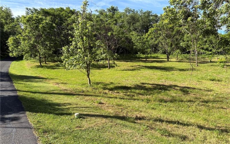 284 Swagler Rd, Scenery Hill, 15360, ,Farm-acreage-lot,For Sale,None,Swagler Rd,1761232