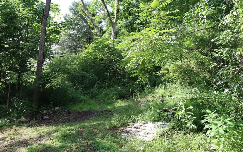 102 Midget Camp Rd, Bolivar, 15923, 3 Bedrooms Bedrooms, 7 Rooms Rooms,1 BathroomBathrooms,Residential,For Sale,Midget Camp Rd,1761823