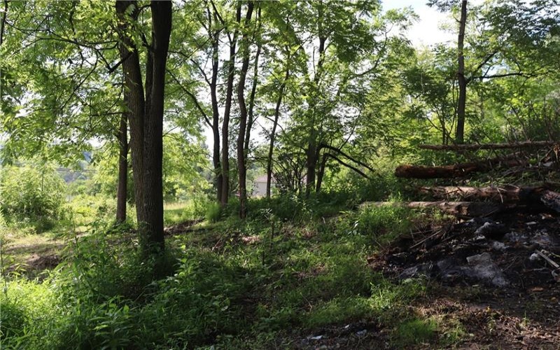 102 Midget Camp Rd, Bolivar, 15923, 3 Bedrooms Bedrooms, 7 Rooms Rooms,1 BathroomBathrooms,Residential,For Sale,Midget Camp Rd,1761823