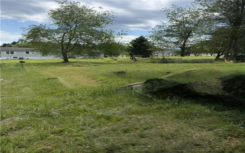 119 Pine St., Derry, 15627, ,Farm-acreage-lot,For Sale,Pine St.,1761916