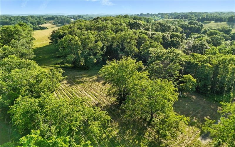 0 Barr Road, Eighty Four, 15332, ,Farm-acreage-lot,For Sale,Barr Road,1762267