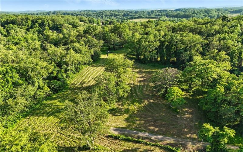 0 Barr Road, Eighty Four, 15332, ,Farm-acreage-lot,For Sale,Barr Road,1762267