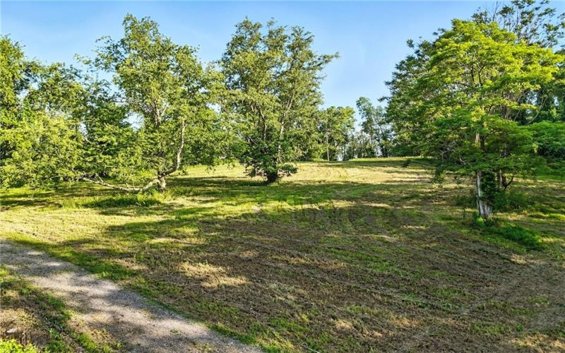 0 Barr Road, Eighty Four, 15332, ,Farm-acreage-lot,For Sale,Barr Road,1762267