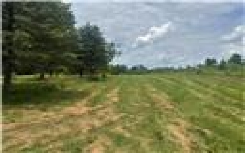 218 Hatfield, Smock, 15480, ,Farm-acreage-lot,For Sale,2 Car Garage,Hatfield,1762481