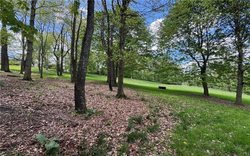 425 Felgar Road, Somerset, 15501, ,Farm-acreage-lot,For Sale,Felgar Road,1742301