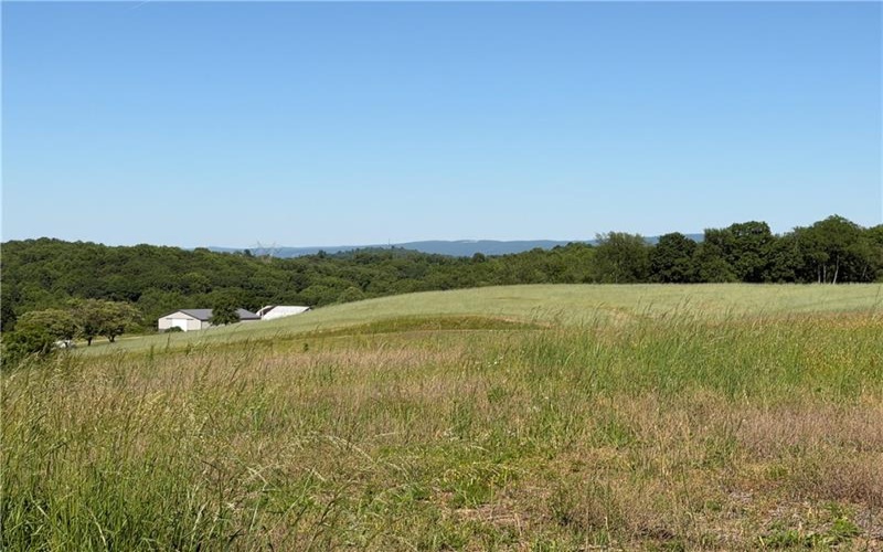 215 Duff Road, Mc Clellandtown, 15458, 3 Bedrooms Bedrooms, ,Farm-acreage-lot,For Sale,Duff Road,1757617