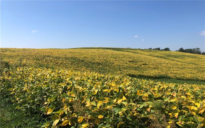 215 Duff Road, Mc Clellandtown, 15458, 3 Bedrooms Bedrooms, ,Farm-acreage-lot,For Sale,Duff Road,1757617