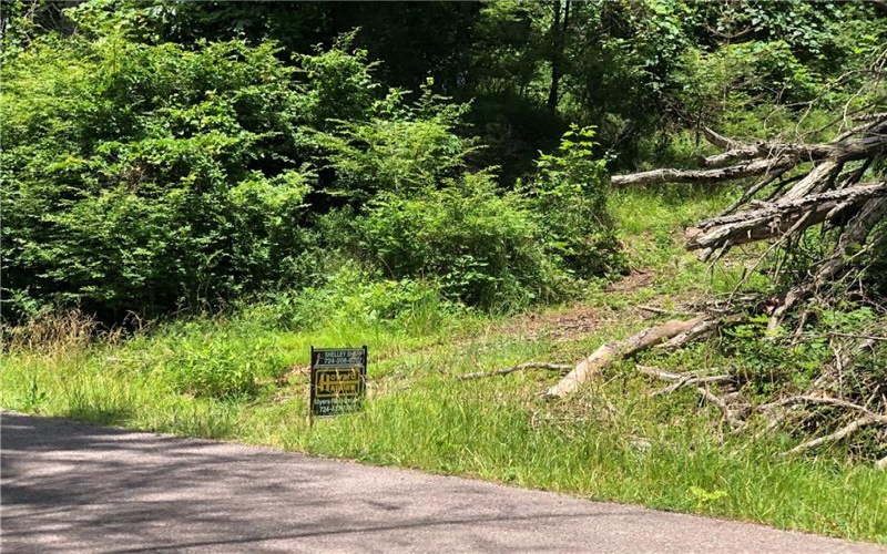 224-225 OLD MILL ROAD, Ohiopyle, 15470, ,Farm-acreage-lot,For Sale,None,OLD MILL ROAD,1762848