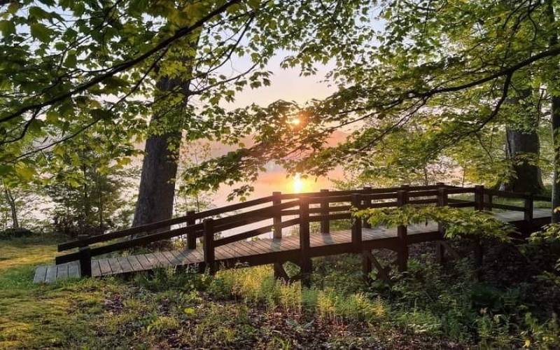 224-225 OLD MILL ROAD, Ohiopyle, 15470, ,Farm-acreage-lot,For Sale,None,OLD MILL ROAD,1762848