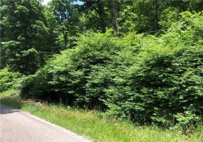 224-225 OLD MILL ROAD, Ohiopyle, 15470, ,Farm-acreage-lot,For Sale,None,OLD MILL ROAD,1762848