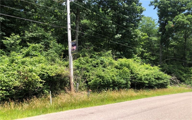 224-225 OLD MILL ROAD, Ohiopyle, 15470, ,Farm-acreage-lot,For Sale,None,OLD MILL ROAD,1762848