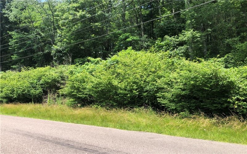 224-225 OLD MILL ROAD, Ohiopyle, 15470, ,Farm-acreage-lot,For Sale,None,OLD MILL ROAD,1762848