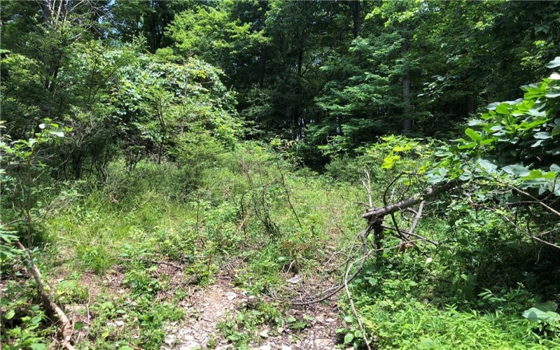 224-225 OLD MILL ROAD, Ohiopyle, 15470, ,Farm-acreage-lot,For Sale,None,OLD MILL ROAD,1762848