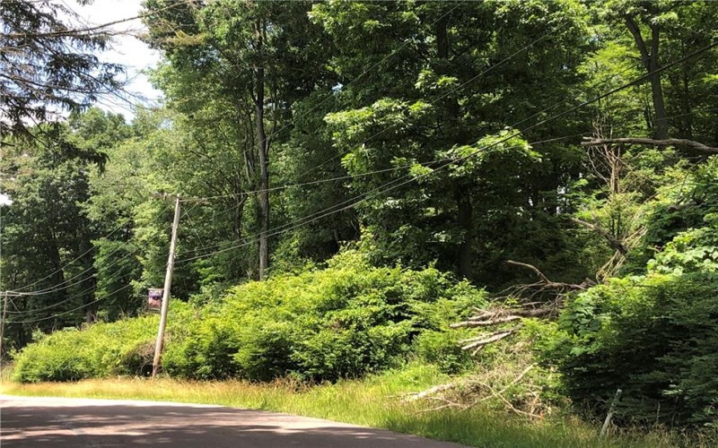 224-225 OLD MILL ROAD, Ohiopyle, 15470, ,Farm-acreage-lot,For Sale,None,OLD MILL ROAD,1762848