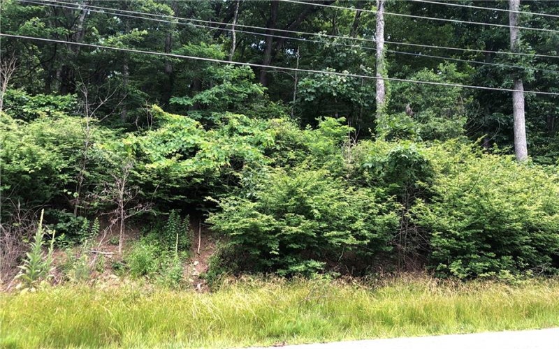 224-225 OLD MILL ROAD, Ohiopyle, 15470, ,Farm-acreage-lot,For Sale,None,OLD MILL ROAD,1762848