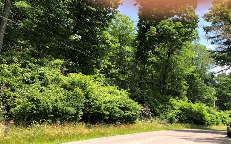 224-225 OLD MILL ROAD, Ohiopyle, 15470, ,Farm-acreage-lot,For Sale,None,OLD MILL ROAD,1762848
