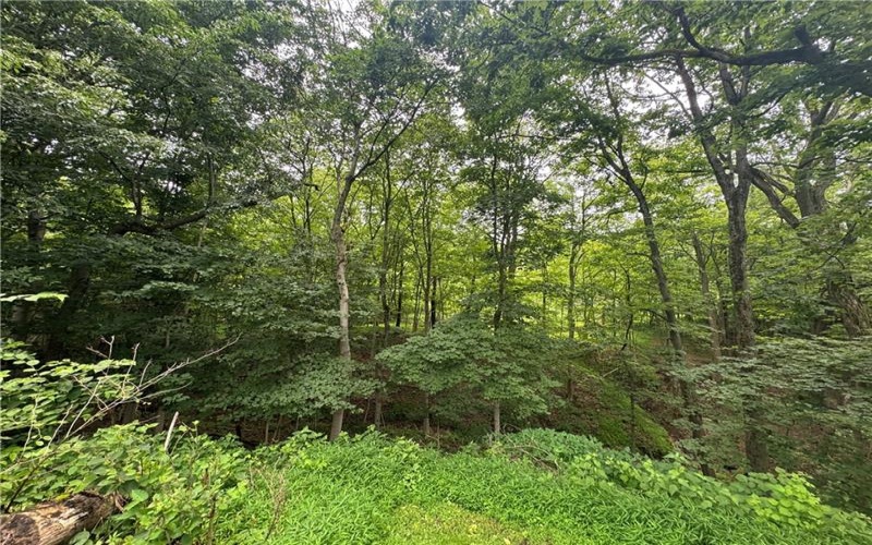 373 Lakeview Drive, Washington, 15301, ,Farm-acreage-lot,For Sale,none,Lakeview Drive,1762912
