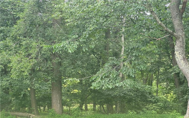 373 Lakeview Drive, Washington, 15301, ,Farm-acreage-lot,For Sale,none,Lakeview Drive,1762912