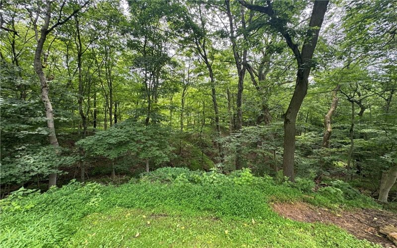 373 Lakeview Drive, Washington, 15301, ,Farm-acreage-lot,For Sale,none,Lakeview Drive,1762912