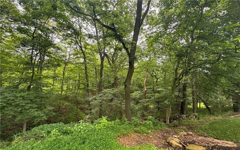 373 Lakeview Drive, Washington, 15301, ,Farm-acreage-lot,For Sale,none,Lakeview Drive,1762912