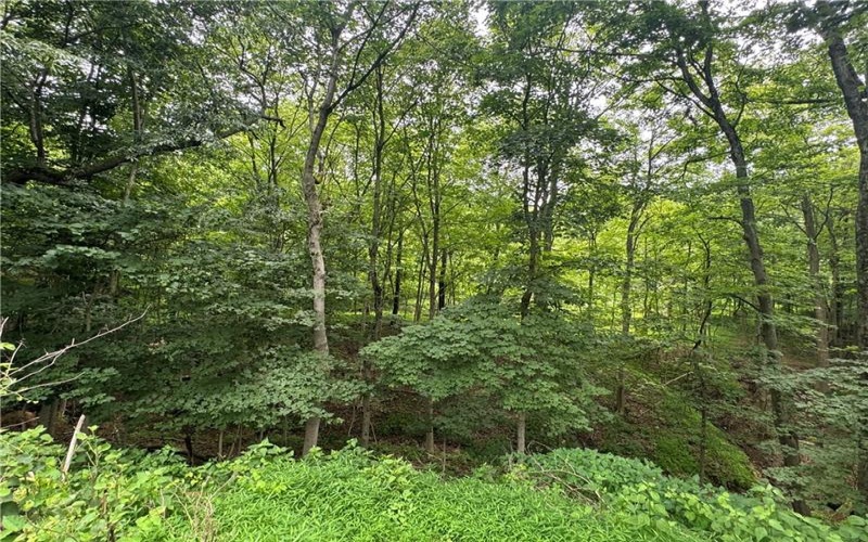 373 Lakeview Drive, Washington, 15301, ,Farm-acreage-lot,For Sale,none,Lakeview Drive,1762912
