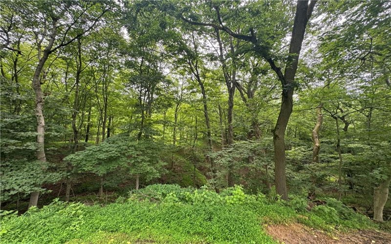 373 Lakeview Drive, Washington, 15301, ,Farm-acreage-lot,For Sale,none,Lakeview Drive,1762912