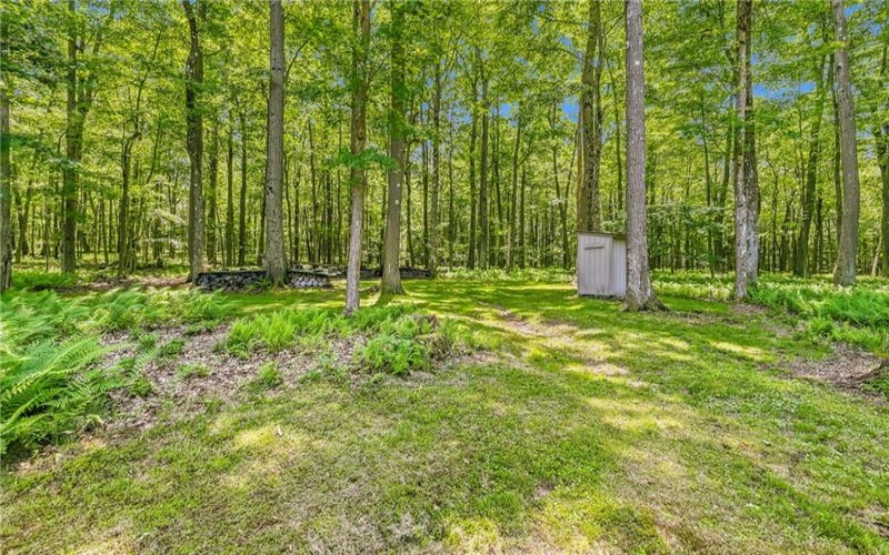 175 Dons Road, Fort Hill, 15540, 2 Bedrooms Bedrooms, ,1 BathroomBathrooms,Residential,For Sale,Dons Road,1762989