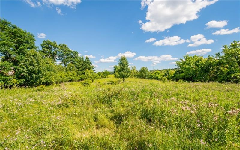 0 Lakeview Drive, Washington, 15301, ,Commercial-industrial-business,For Sale,Lakeview Drive,1763025