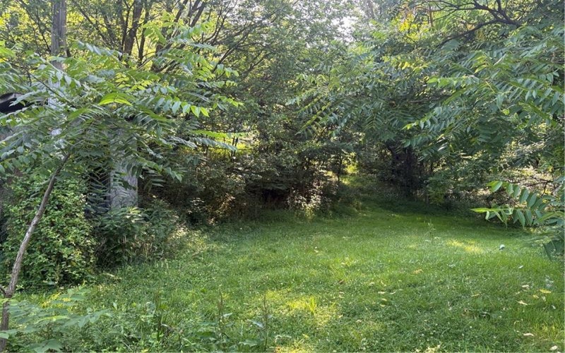 244 Swink Hill Rd, Connellsville, 15425, ,Farm-acreage-lot,For Sale,Swink Hill Rd,1763088