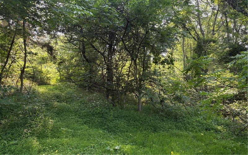 244 Swink Hill Rd, Connellsville, 15425, ,Farm-acreage-lot,For Sale,Swink Hill Rd,1763088