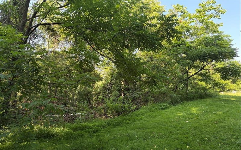 244 Swink Hill Rd, Connellsville, 15425, ,Farm-acreage-lot,For Sale,Swink Hill Rd,1763088