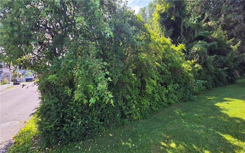 139 Somerset Ave, Jerome, 15937, ,Farm-acreage-lot,For Sale,Somerset Ave,1763204