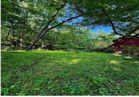 0 nellie school rd., Vanderbilt, 15486, 2 Bedrooms Bedrooms, ,1 BathroomBathrooms,Farm-acreage-lot,For Sale,nellie school rd.,1763286