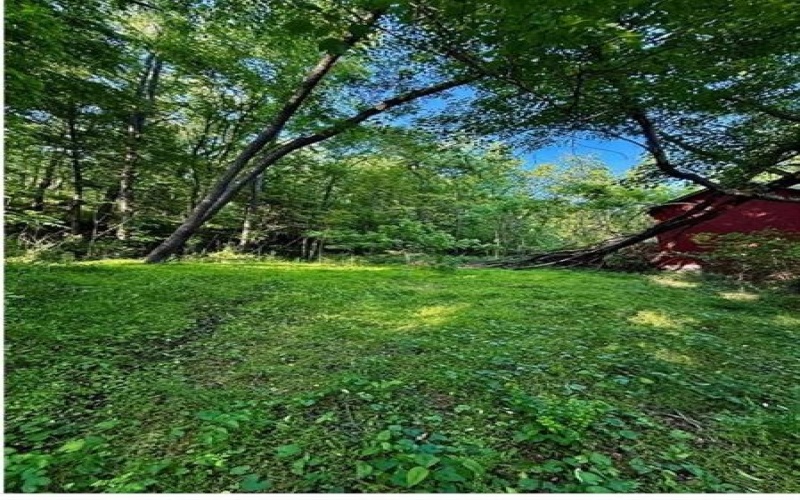 0 nellie school rd., Vanderbilt, 15486, 2 Bedrooms Bedrooms, ,1 BathroomBathrooms,Farm-acreage-lot,For Sale,nellie school rd.,1763286