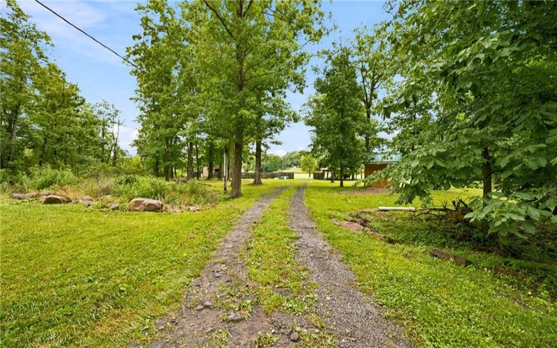 0 Mastillo Road, Hollsopple, 15935, ,Farm-acreage-lot,For Sale,Mastillo Road,1763562