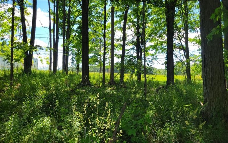 0 Felgar Road, Somerset, 15501, ,Farm-acreage-lot,For Sale,Felgar Road,1763756