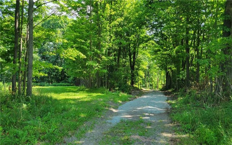 0 Felgar Road, Somerset, 15501, ,Farm-acreage-lot,For Sale,Felgar Road,1763756