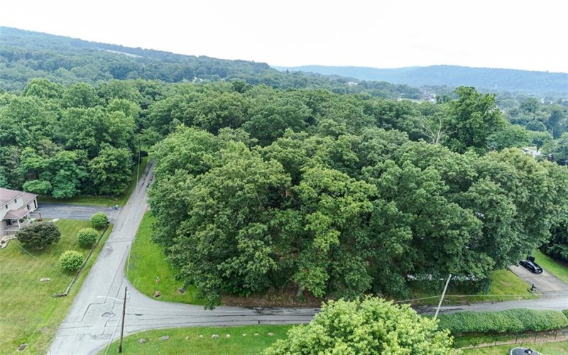 0 Walnut Ave, Connellsville, 15425, ,Farm-acreage-lot,For Sale,Walnut Ave,1763791