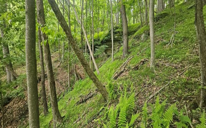 0000 Reservoir Road, Saltsburg, 15681, ,Farm-acreage-lot,For Sale,Reservoir Road,1764046
