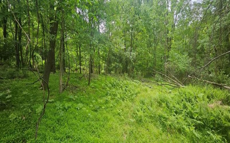 0000 Reservoir Road, Saltsburg, 15681, ,Farm-acreage-lot,For Sale,Reservoir Road,1764046