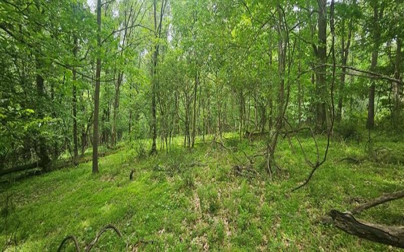 0000 Reservoir Road, Saltsburg, 15681, ,Farm-acreage-lot,For Sale,Reservoir Road,1764046