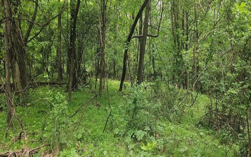 0000 Reservoir Road, Saltsburg, 15681, ,Farm-acreage-lot,For Sale,Reservoir Road,1764046